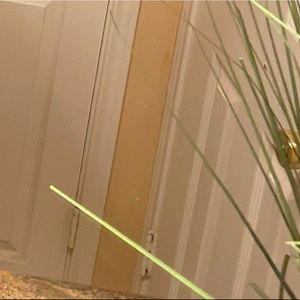 Meet your Posher, Kierra